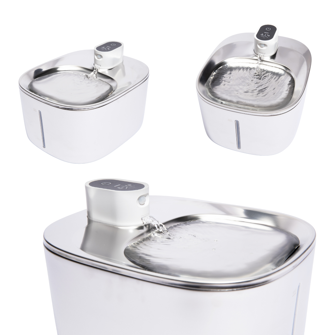 PurrKilde – Den Stillegående, Trådløse Vannfontenen for Sunnere Katter